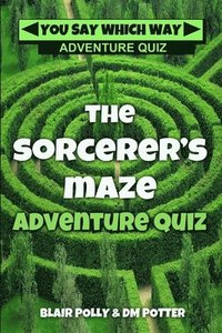 bokomslag The Sorcerer's Maze