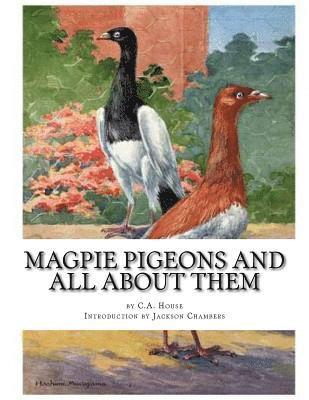 bokomslag Magpie Pigeons and All About Them: A Guide To The Breeding and Exhibiting of Magpie Pigeons