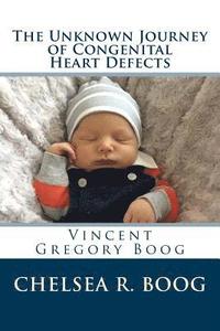 bokomslag The Unknown Journey of Congenital Heart Defects