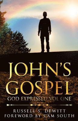 bokomslag John's Gospel: God Expressed Volume One