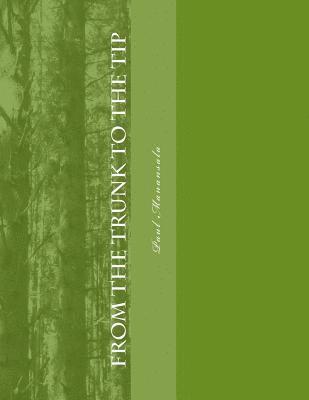 bokomslag From the Trunk to the Tip: Genealogy and History of Manansala-Concengco Family