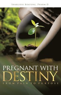 bokomslag Pregnant With Destiny