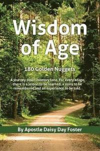 bokomslag Wisdom of Age 180 Golden Nuggets