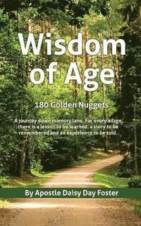 bokomslag Wisdom of Age 180 Golden Nuggets