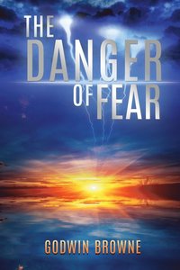 bokomslag Danger of Fear