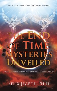 bokomslag The End Of Time Mysteries Unveiled