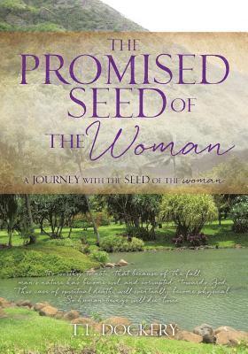 bokomslag Promised Seed of the Woman