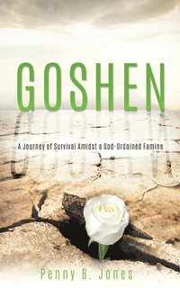 bokomslag Goshen