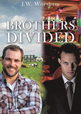 bokomslag Brothers Divided