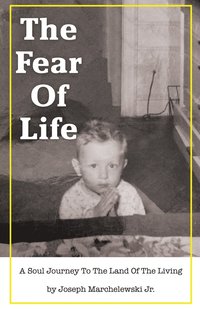 bokomslag The Fear of Life