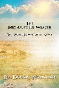 bokomslag The Inexhaustible Wealth the World little knows about