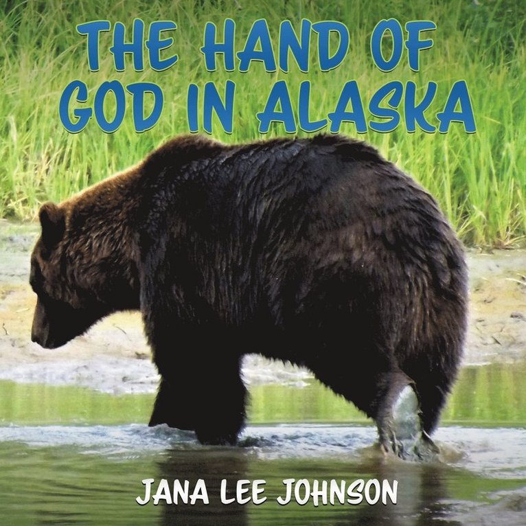 Jana Lee Johnson - Hand of God in Alaska, Häftad