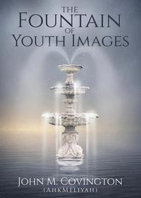 bokomslag The Fountain Of Youth Images