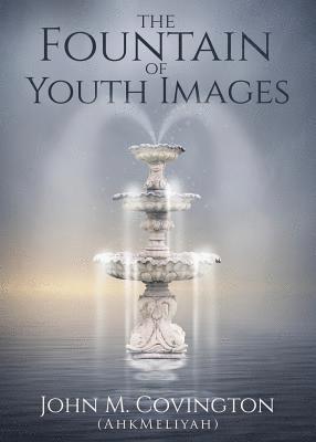 bokomslag Fountain Of Youth Images