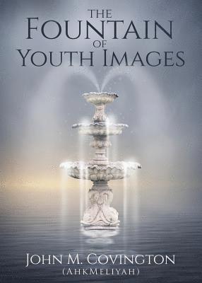 bokomslag The Fountain Of Youth Images