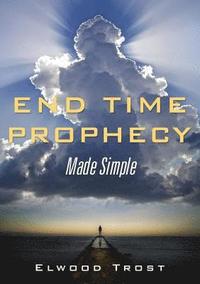 bokomslag End Time Prophecy Made Simple