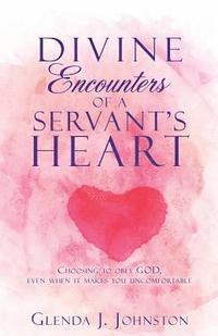 bokomslag Divine Encounters of a Servant's Heart