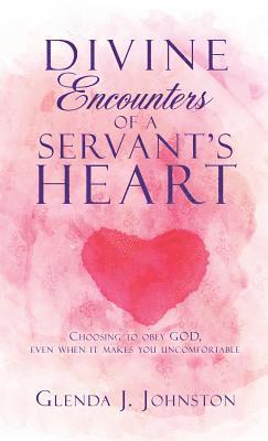 bokomslag Divine Encounters of a Servant's Heart