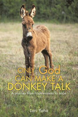 bokomslag Only God Can Make a Donkey Talk