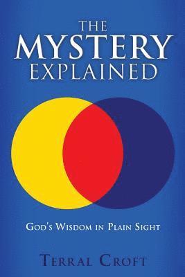 bokomslag Mystery Explained