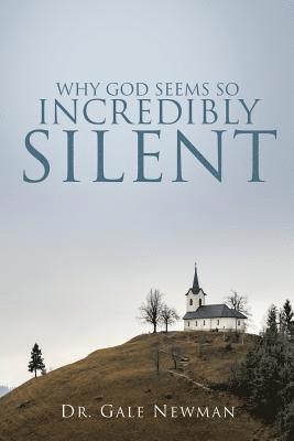 bokomslag Why God Seems So Incredibly Silent