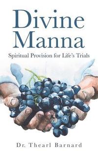 bokomslag Divine Manna