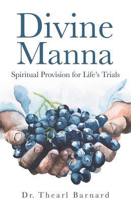bokomslag Divine Manna