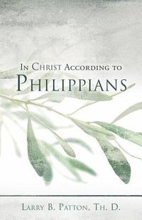 bokomslag In Christ According to Philippians