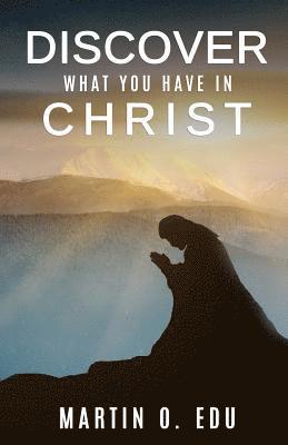 bokomslag Discover What You Have in Christ