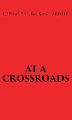 bokomslag At a Crossroads
