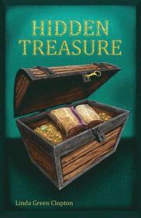 bokomslag Hidden Treasure