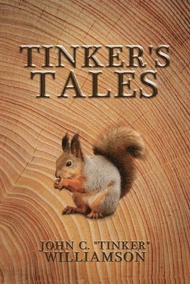 bokomslag Tinker's Tales