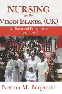 bokomslag Nursing In The Virgin Islands, (UK) A Historical Perspective (1920 - 2017)