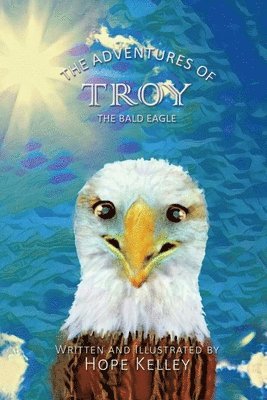 bokomslag The Adventures of Troy the Bald Eagle