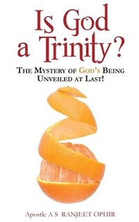 bokomslag Is God a Trinity?