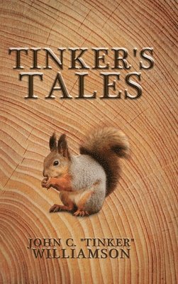 bokomslag Tinker's Tales