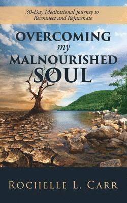 bokomslag Overcoming My Malnourished Soul