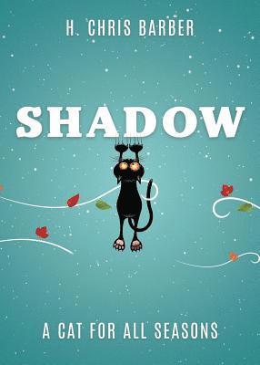 Shadow 1