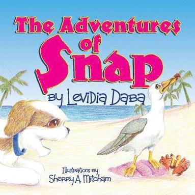 Levidia Daba - Adventures of Snap, Häftad