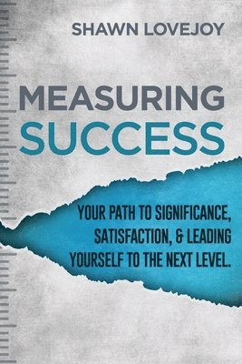 bokomslag Measuring Success