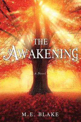 bokomslag Awakening