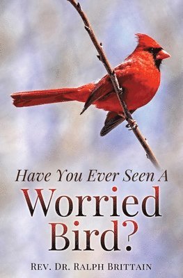 Have You Ever Seen A Worried Bird? 1