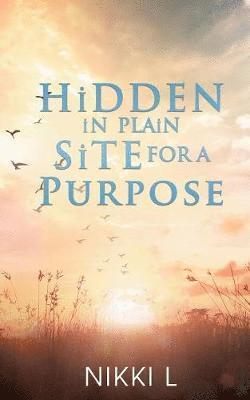 Nikki L - HiDDEN iN PLAiN SiTE FOR A PURPOSE, Häftad