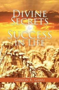 bokomslag Divine Secrets for Success in Life
