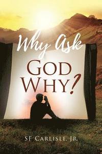 bokomslag Why Ask God Why?