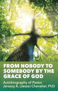 bokomslag From Nobody to Somebody by the Grace of God