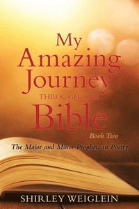 bokomslag My Amazing Journey Through the Bible