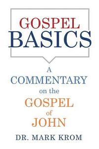 bokomslag Gospel Basics