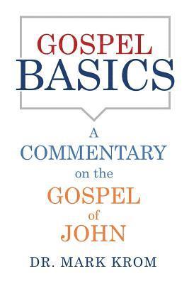 bokomslag Gospel Basics