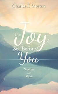 bokomslag Joy Set Before You